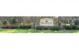 951 Fern Hill, Lake Norman - The Point, North Carolina Homes & Land - Real Estate