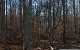 0 Hermance, Lake Norman - The Point, North Carolina Homes & Land - Real Estate